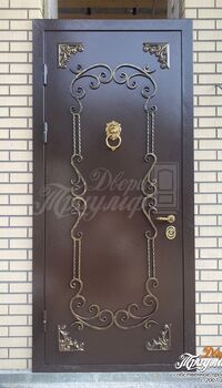 темно-коричневая входная дверь с порошковым напылением с элементами ковки с позолотой снаружи.jpg
